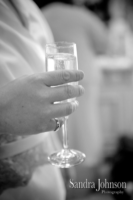 Best Nottoway Plantation Wedding photographer - Sandra Johnson (SJFoto.com)